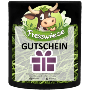 Gutscheinkarte