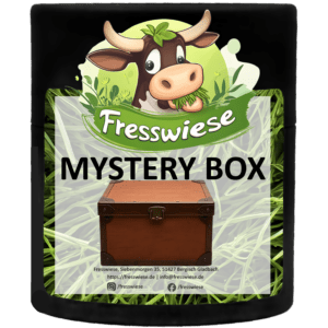 Mystery Box